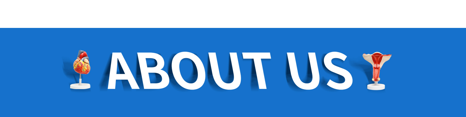 ABOUT US