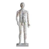 Acupuncture Series