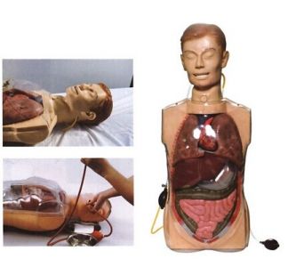 Transparent gastric lavage model, a new tool for medical training