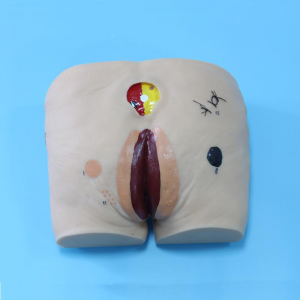 Advanced Decubitus Care Model: A New Tool for Professional Care