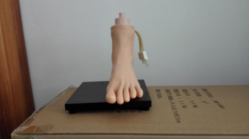 Application and development of lower limb foot intravenous injection simulation model