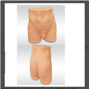  Acupuncture hip training model makes acupuncture learning more intuitive and efficient