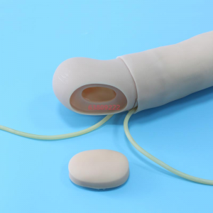 The specific instructions for using the advanced arterial puncture arm model are as follows: