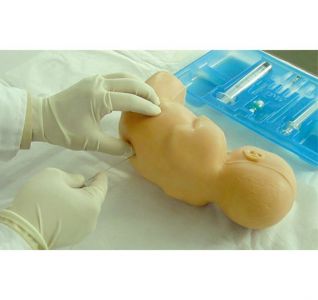 Can the neonatal lumbar puncture model completely replace the real procedure?
