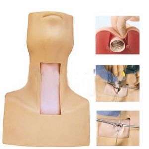 What types of surgical training does tracheotomy intubation training model support?