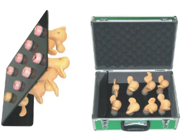 How does the model of cervical lesions simulate cervical lesions