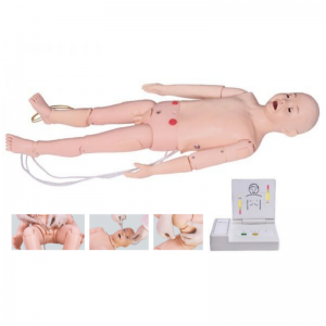 Children's comprehensive First aid training simulator: Just a model, or a practical training partner?