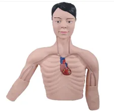 Why does the PICC interventional training model play an important role in medical education
