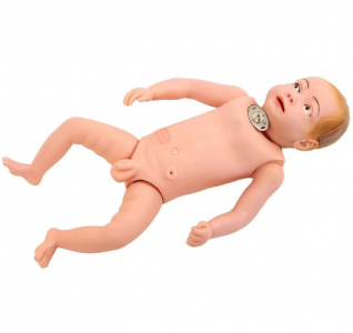 Infant tracheotomy care model: Can practice fill gaps