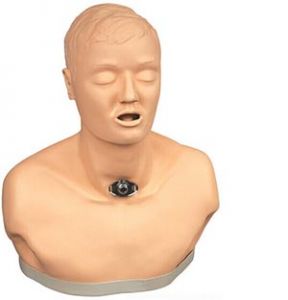 Hemostasis model for upper limb trauma amputation, Trauma hemostatic model