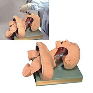 Analyze the necessity of advanced tracheal intubation training model