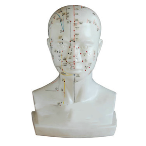 Why can't we learn head acupuncture without the support of head acupuncture model