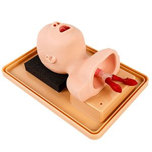 Neonatal Tracheal intubation training model: Helping to cross the threshold of actual combat?