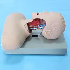  Advanced Tracheal Intubation Training Model: Can it change the way first aid training is done?