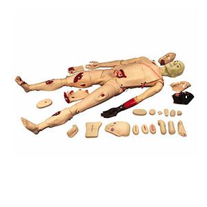 What practical effects can full-functioning trauma caregivers bring to clinical care?