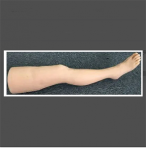 Can the acupuncture leg training model shorten the learning cycle from theory to practice?
