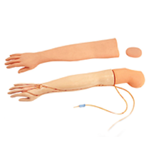 Does venipuncture infusion arm model improve the success rate of clinical procedures?
