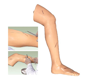 Surgical leg suture model training: to help you accurately master suture techniques in clinical practice