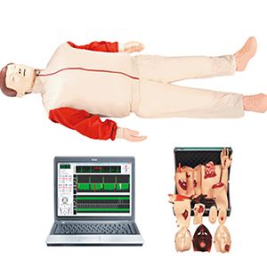 Can comprehensive emergency nursing training simulators shorten the transition time from theory to practice? 