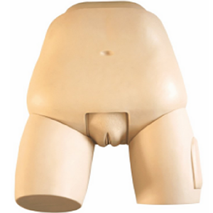 Advanced uterine fundus examination and Evaluation teaching model