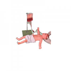 Advanced Infant Whole-Body Venipuncture Model Operating Steps