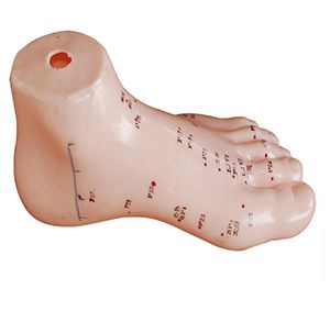 Clinical operation of the foot acupuncture model