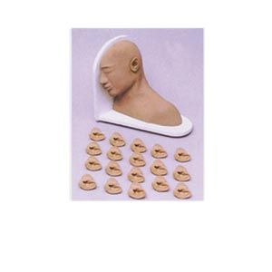 Precautions for advanced ear examination models