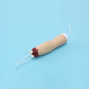 Operating Specifications for the Hemostasis Model of Upper Limb Trauma Amputation