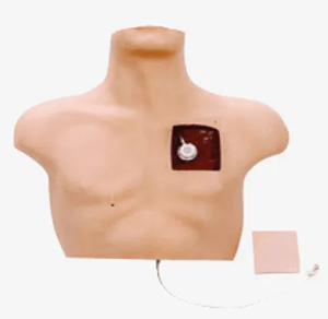 Operation specifications for training the venous intervention model