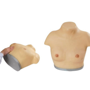 The purpose of the advanced breast visual and palpation model