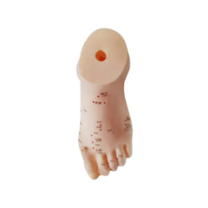 The purpose of the foot acupuncture model