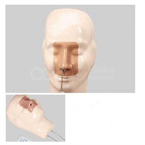 Advanced nasal bleeding model