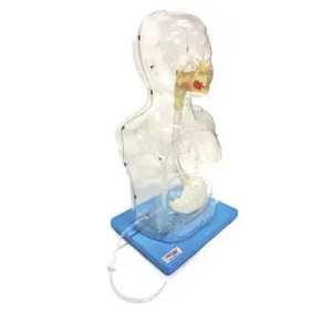 The role of the multi-functional transparent nasogastric feeding and gastric lavage model for children