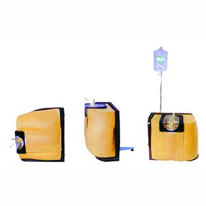 The role of the spinal puncture model