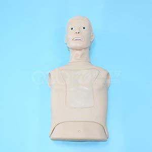 Advanced nasogastric tube and tracheal care model