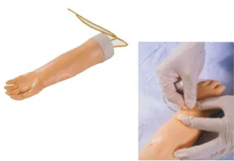 The principle of the arterial injection model for children 