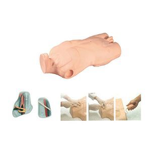 The significance of full-function central venous puncture and injection of the trunk model