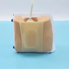 What problems does the spinal cord puncture model solve