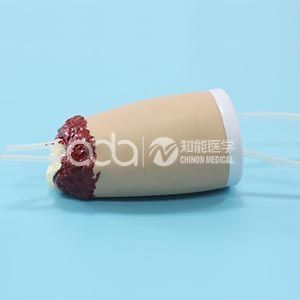 BIX-H3008 Guide: Amputation Trauma Care Training with a Wound Simulation Model
