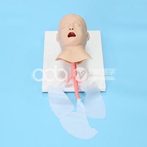 BIX-J4A Guide: Senior Child Trachea Intubation Manikin — Pediatric Airway Training