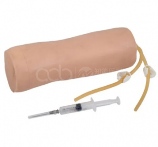 BIX-HS10 Guide: Advanced Elbow Venipuncture Training Model — Cubital Fossa IV Injection Practice