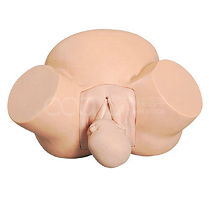 BIX-F8 Guide: Medical Midwifery Training Model — Standard Delivery Procedure Trainer