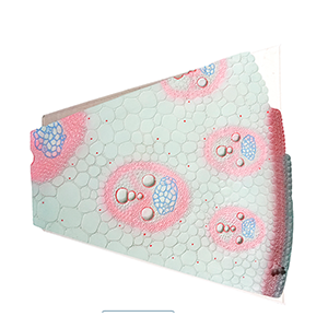 1703757429.png 7342950.png