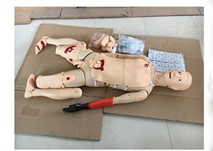 Trauma Care Model