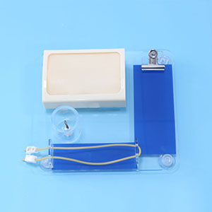 Surgical Multi-skill Training Model Surgical Multi-skill Training Model