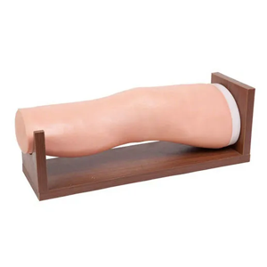 Knee injection model Knee injection model