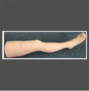Acupuncture leg Training Model