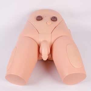 Medical Nursing Model